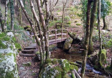 Trail Walking Barnas - 231220 Barnas  - Photo