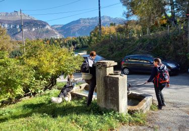 Tocht Stappen La Buisse - Roche Brune par le Grand Ratz - Photo