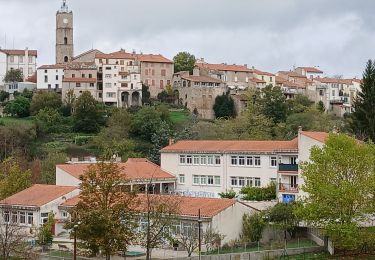 Tour Wandern Saint-Laurent-de-Cerdans - mont capell - Photo