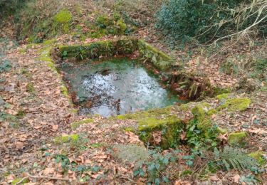 Tour Wandern Pouldergat - POULDERGAT - Photo
