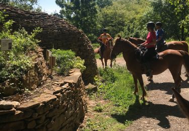 Tour Reiten Couzon-au-Mont-d'Or - Tour4 - Photo