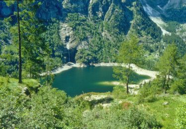 Excursión A pie Antrona Schieranco - C34 - Lago di Campliccioli - Lago di Camposecco - Photo