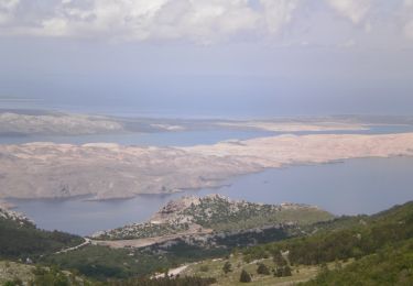 Tour Zu Fuß  - Dabri und Dabarski kukovi - Photo