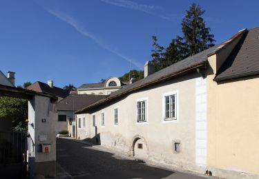 Percorso A piedi Gemeinde Klosterneuburg - Weidling - Hohenauer Wiese - Photo