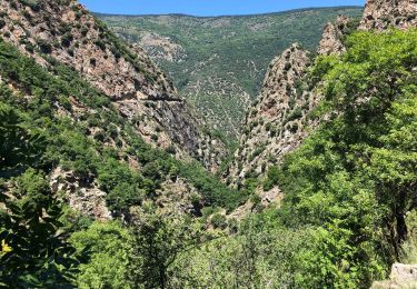 Excursión Senderismo Thuès-Entre-Valls - Gorges de la Carança  - Photo