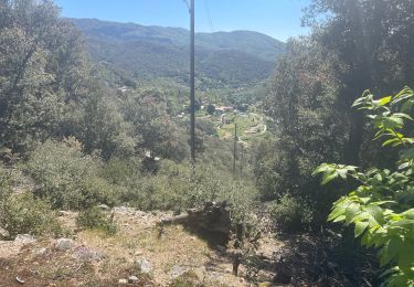 Randonnée Marche Saint-Martial - St Martial, le col de la Tribale, le col de Bédarieux - Photo
