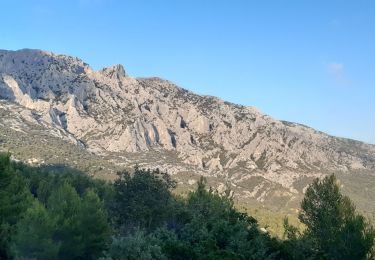 Tocht Stappen Saint-Antonin-sur-Bayon - Pas de la Torque - Photo