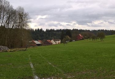 Tocht Te voet Michelstadt - Rundwanderweg Michelstadt Bremhof 5: Brunnthal-Weg - Photo