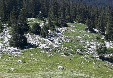 Trail Walking Corrençon-en-Vercors - combe de fer - Photo