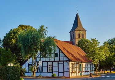 Randonnée A pied Tecklenburg - Teutoschleife Tecklenburger Bergpfad - Photo