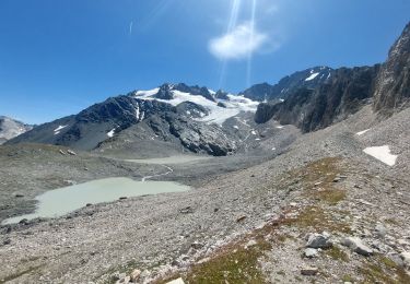 Percorso Marcia Pralognan-la-Vanoise - Col du soufre et bas du glacier de Gébroulaz - Photo