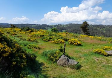 Trail Walking Lajo - live Lajo - Aumont Aubrac - Photo