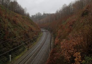Trail Walking Saint-Hubert - SityTrail - Poix- marie gobaille- smuid - Photo