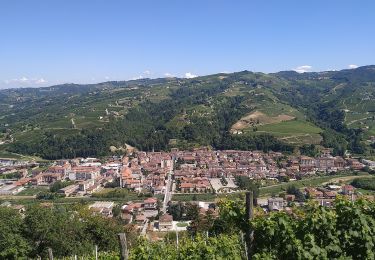 Tour Zu Fuß Saliceto - Große Durchquerung der Langhe - Photo