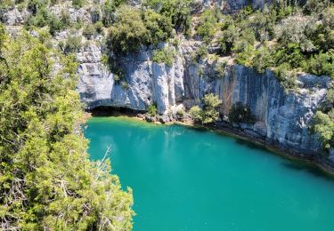 Randonnée Marche Baudinard-sur-Verdon - Les gorges de Baudinard réel. - Photo
