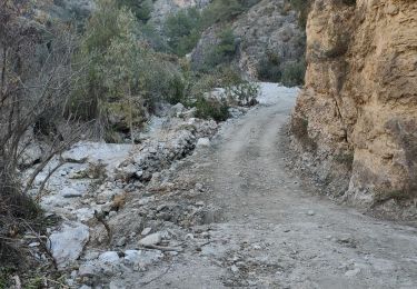 Trail Walking Frigiliana - Frigiliana Sierra Tejada - Photo