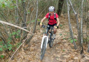 Trail Walking Beaumont Saint-Cyr - My Colombier - Photo