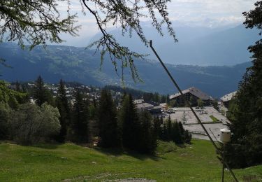 Percorso Camminata nordica Arbaz - Anzère  - Photo