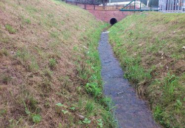 Randonnée A pied Großheubach - Ortswanderweg Großheubach G1 - Photo