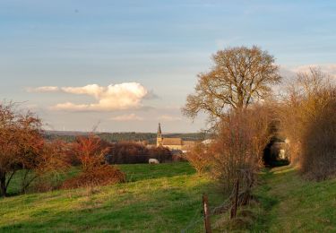 Trail Walking Couvin - RB-Na-27-racc-1_Entre-Eau-Blanche-et-Eau-Noire - Photo