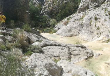 Tour Wandern Escragnolles - Casade du Ray (Clars) depuis les Gallants - Photo