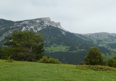 Tocht Stappen Châtillon-en-Diois - TRK000 - Photo