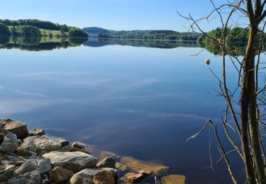 Percorso Marcia Peyrat-le-Château - 2025-05-14-Reco Lac de Vassiviere - Photo