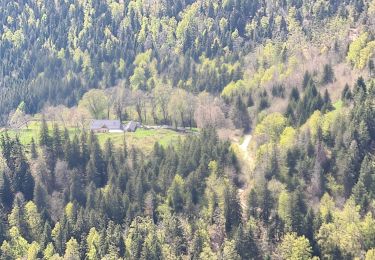 Percorso Marcia Arvière-en-Valromey - Le Grand Colombier - Photo