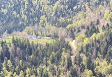 Tour Wandern Arvière-en-Valromey - Le Grand Colombier - Photo