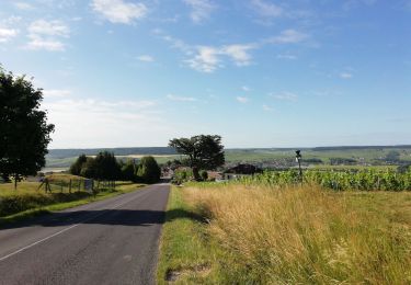 Randonnée Vélo de route Germigny - Haut villers 4 - Photo