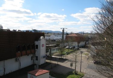 Tocht Te voet Fuldatal - Grubenbachweg - Photo