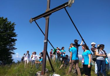 Percorso A piedi Tremezzina - (SI D12N) Rifugio Boffalora - Grandola e Uniti (Frazione Cardano) - Photo