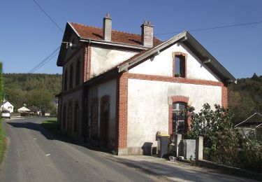 Trail On foot Illy - Sentier du Bois Talot - Photo