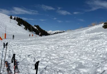 Excursión sport Vaujany - Fin ski  - Photo