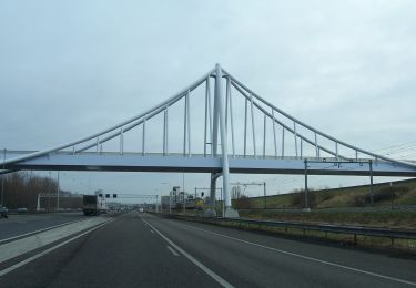 Percorso A piedi Pijnacker-Nootdorp - Laarzenpad De Balij - Photo