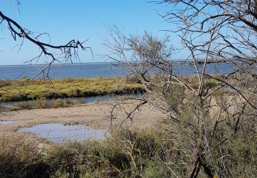 Percorso Marcia Saintes-Maries-de-la-Mer - Saintes Marie de la Mer 26 09 2019 - Photo