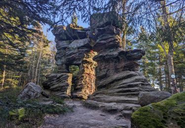 Percorso Marcia Lutzelhouse - suuntoapp-Hiking-2024-01-28T11-41-12Z - Photo