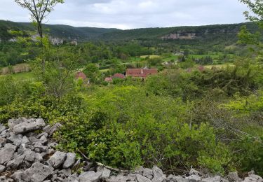 Percorso Marcia Corn - Le causse par lacoste - Photo