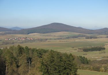 Tour Zu Fuß Hünfeld - Rundweg am Weinberg - Photo