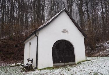 Randonnée A pied Hallerndorf - Neuses-Ebermannstadt - Photo