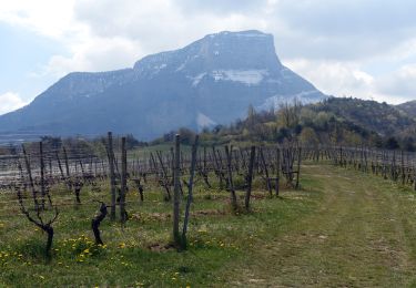 Tocht Stappen Apremont - Cascade du ROUSELET-2021-04-19 - Photo