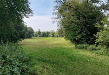 Trail Walking Floreffe - Soye 120821 - Photo