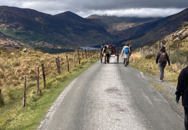 Percorso Marcia Kenmare Municipal District - Gap of Dunloe - Photo
