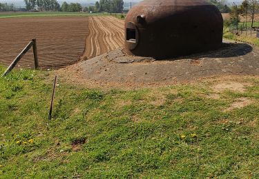 Trail Walking Saint-Jans-Cappel - Saint jans cappel 12km et 250m - Photo