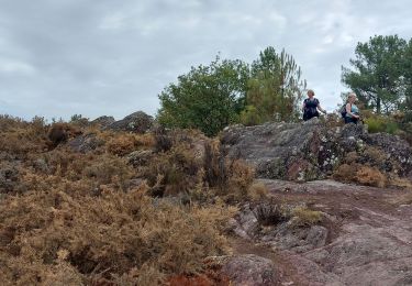 Trail Walking Iffendic - GR_37_CC_37_Iffendic_Plelan-le-Grand_20220821 - Photo