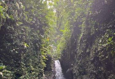 Randonnée Marche Saint-Pierre - Cascade des rois  - Photo