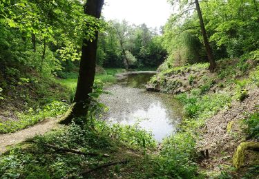 Tocht Te voet Skalka - [Z] Pivín - Skalka okruh - Photo