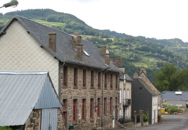 Tour Zu Fuß Valbeleix - Le Plateau de la Chavade et la Roche Nite - Photo