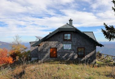 Excursión A pie Gemeinde Hohenberg - Wanderweg 32 - Photo