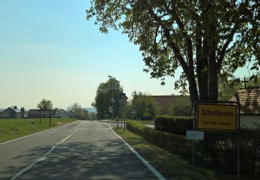 Percorso A piedi Altenbuch - Blauer Pilz Rundwanderweg Schollbrunn - Photo